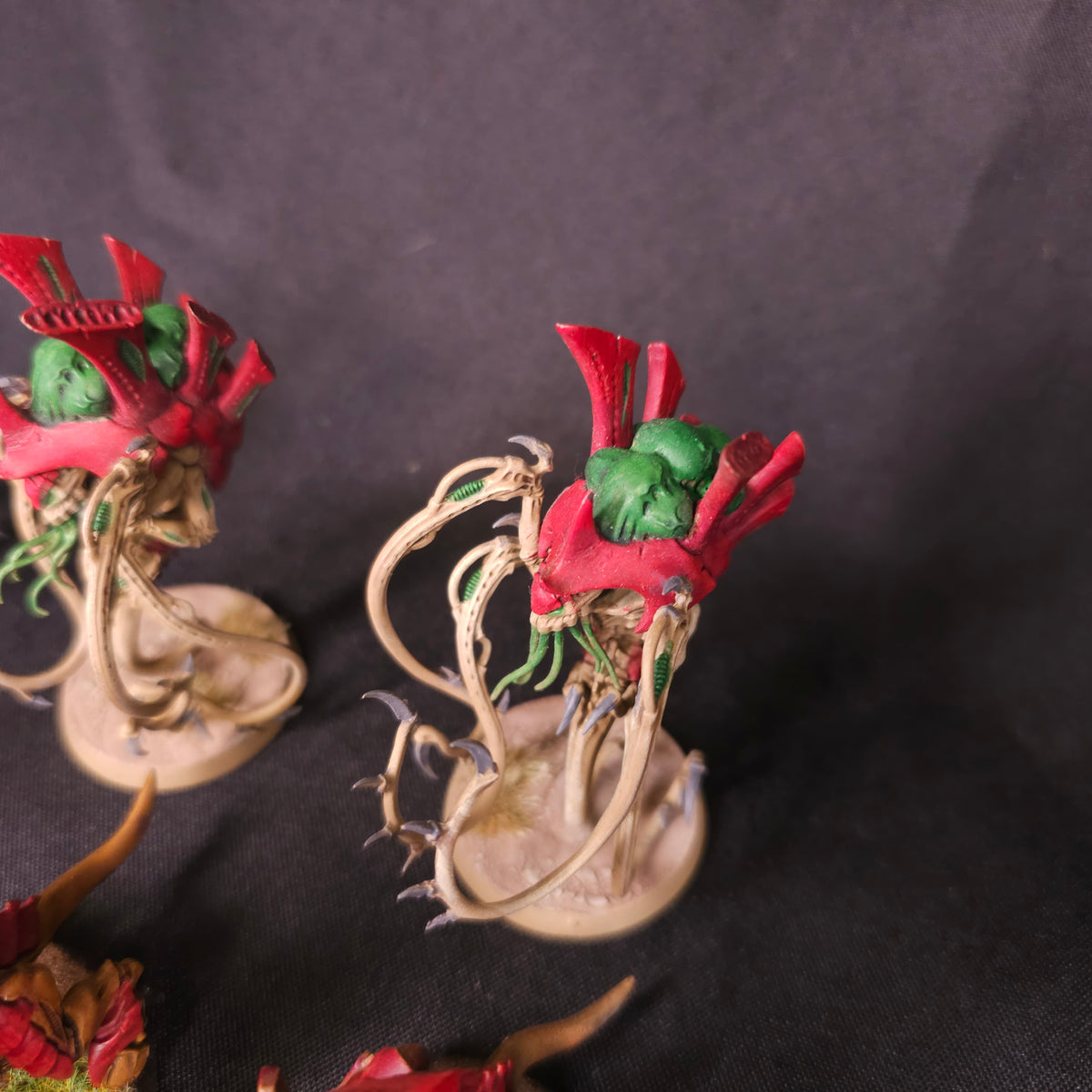 Tyranids - Hive Guard and Venomthropes - alternate or detail view 4