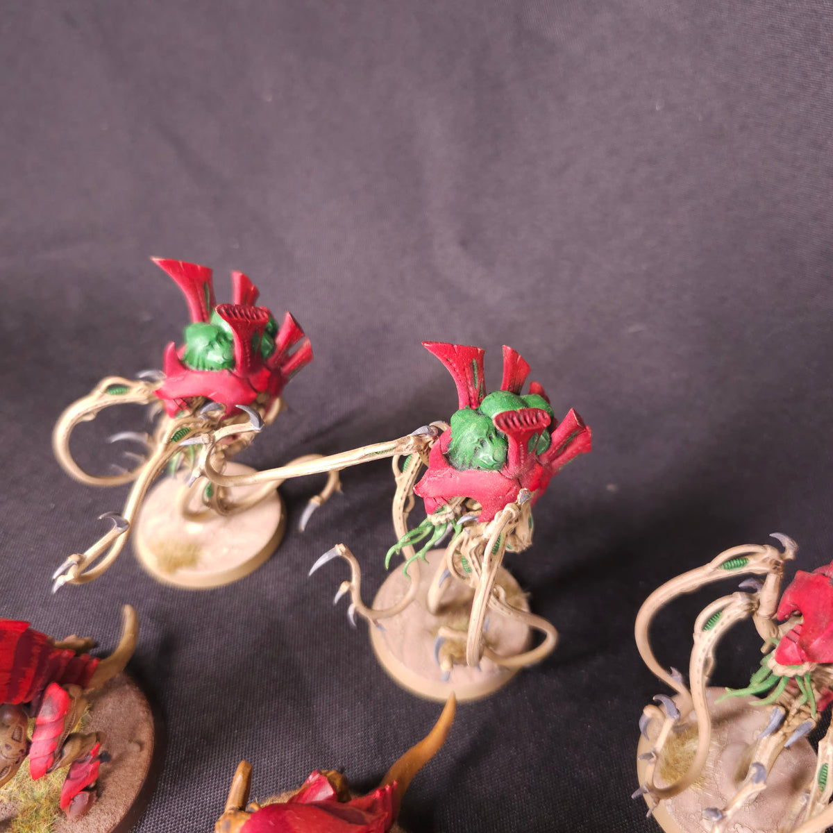 Tyranids - Hive Guard and Venomthropes - alternate or detail view 5