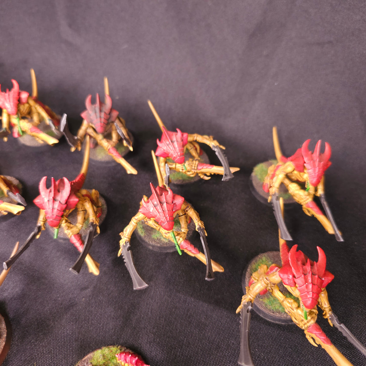 Tyranids - Warriors and Ripper Swarms - alternate or detail view 4