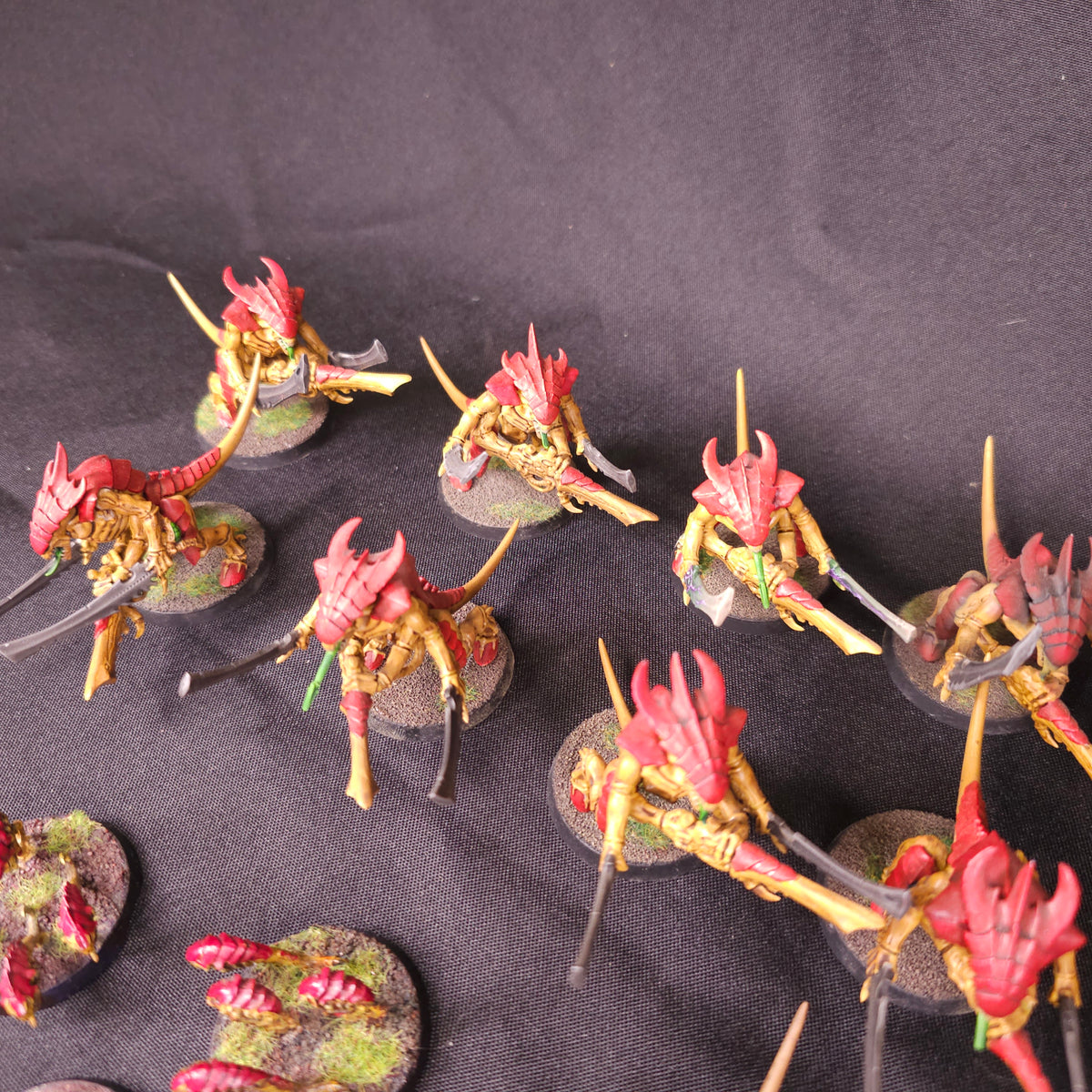 Tyranids - Warriors and Ripper Swarms - alternate or detail view 5