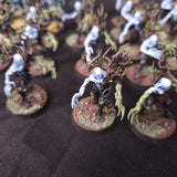 Sylvaneth - Spite-Revenant Collection - alternate or detail view 2