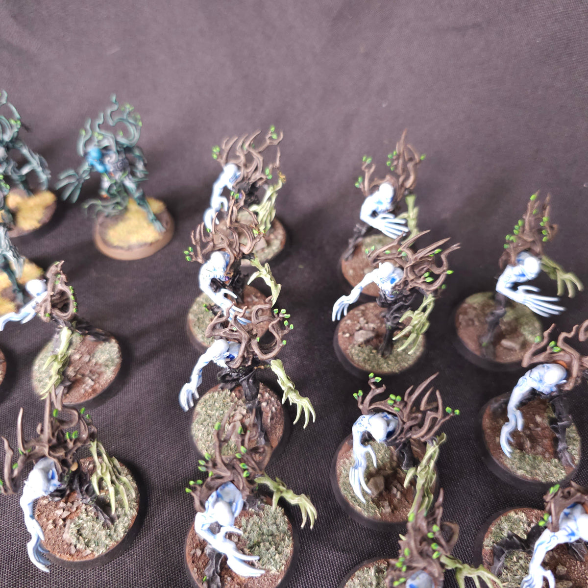 Sylvaneth - Spite-Revenant Collection - alternate or detail view 5