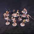 Yu Jing - full lot overview