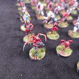 Large Nomads army - painted miniatures detail 10