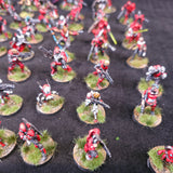 Large Nomads army - painted miniatures detail 12