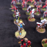 Large Nomads army - painted miniatures detail 16