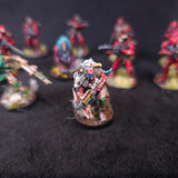 Mixed Nomads / Combined Army - painted miniatures detail 2