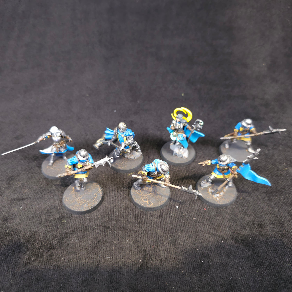 Blue Griffon Knights — full lot overview