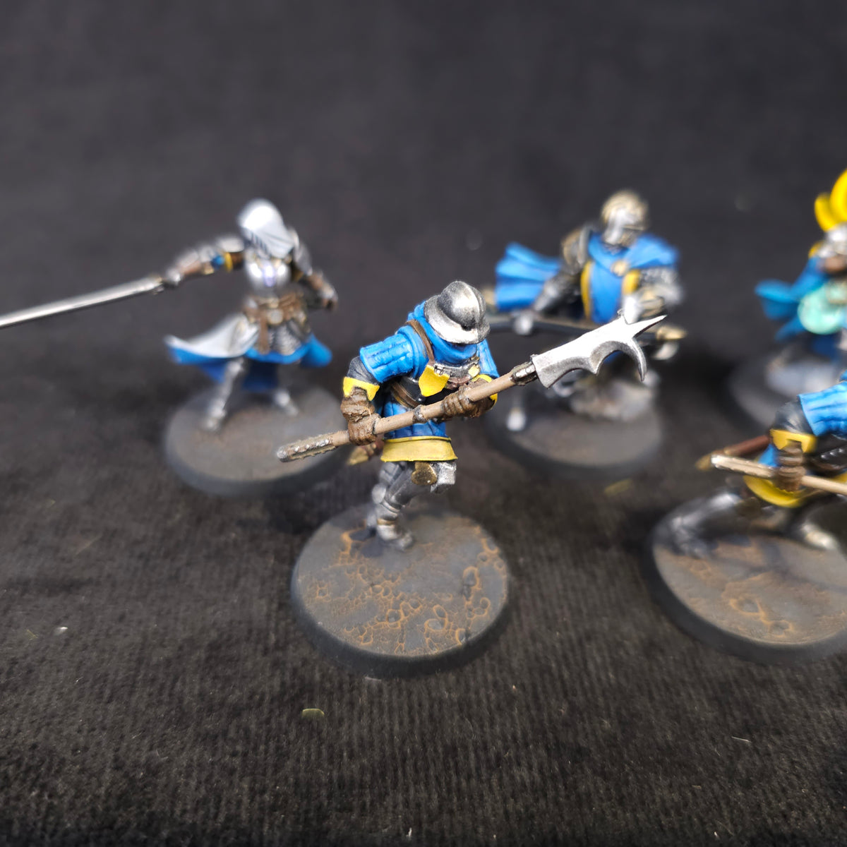 Blue Griffon Knights — detail or alternate view 2