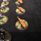 Gnomes Mixed Team — detail or alternate view 12