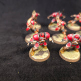 Chaos Chosen Team — detail or alternate view 2