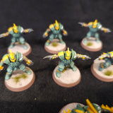 Human Team — detail or alternate view 5
