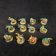 Dwarf Team — full lot overview