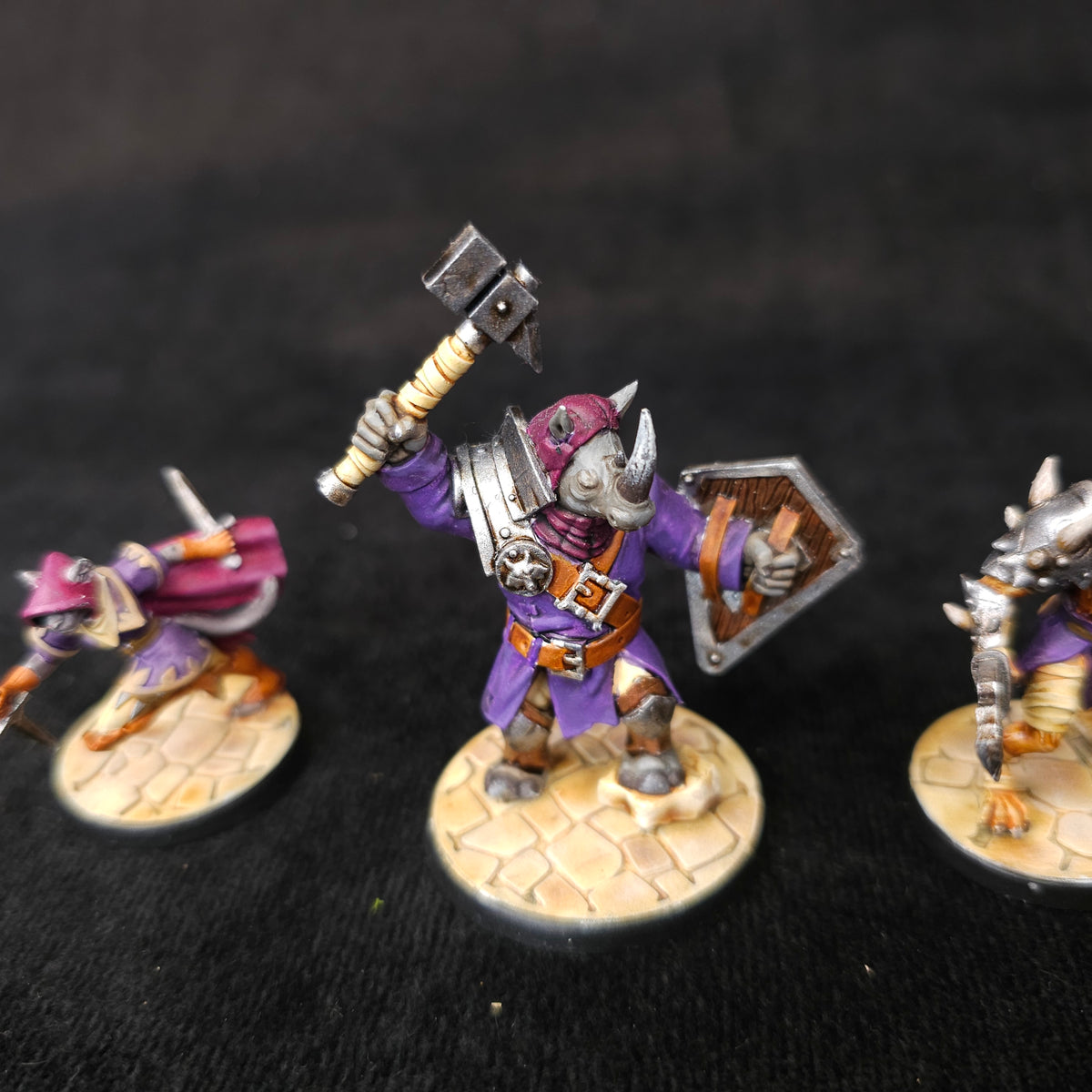 Bloodfields - Painted Fantasy Heroes - D&D Adventuring Party - detail and alternate view 1