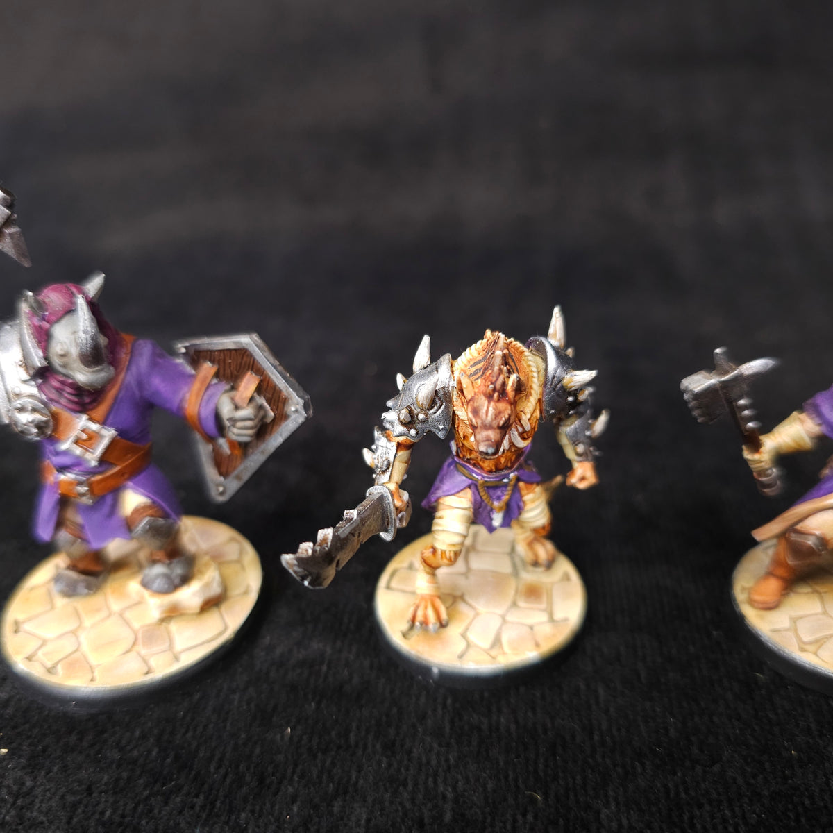 Bloodfields - Painted Fantasy Heroes - D&D Adventuring Party - detail and alternate view 2