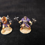 Bloodfields - Painted Fantasy Heroes - D&D Adventuring Party - detail and alternate view 3
