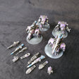 Purple Scout Titan Maniple - full lot overview