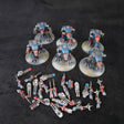 Blue Warhound Titan Maniple - full lot overview