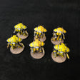 Yellow Questoris Knights - full lot overview