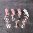 Chaos Fleet - Mixed Finish - full lot overview