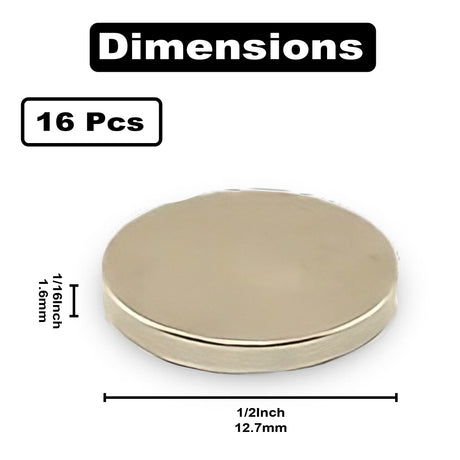 1/2" x 1/16" (12.7mm x 1.6mm) Magnets (16)