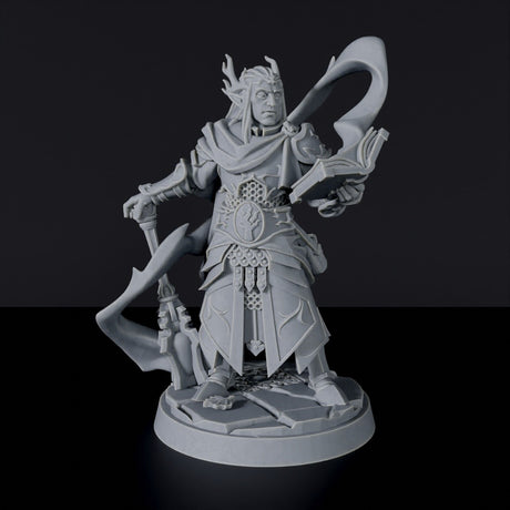 Miniature of Elf Male Cleric - wizard with tome and wand for fantasy tabletop role-playing games