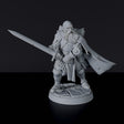 Miniature of Human Male Paladin ver. 2 with sword and cloak for fantasy tabletop role-playing games