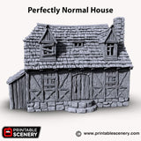 Perfectly Normal House