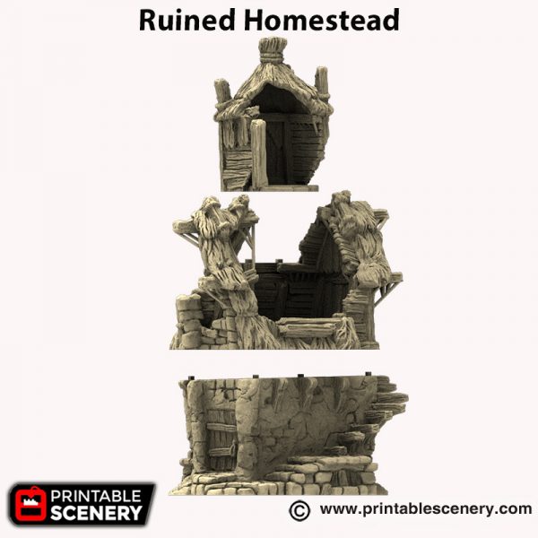 The Ruined Homestead - Hagglethorn Hollow