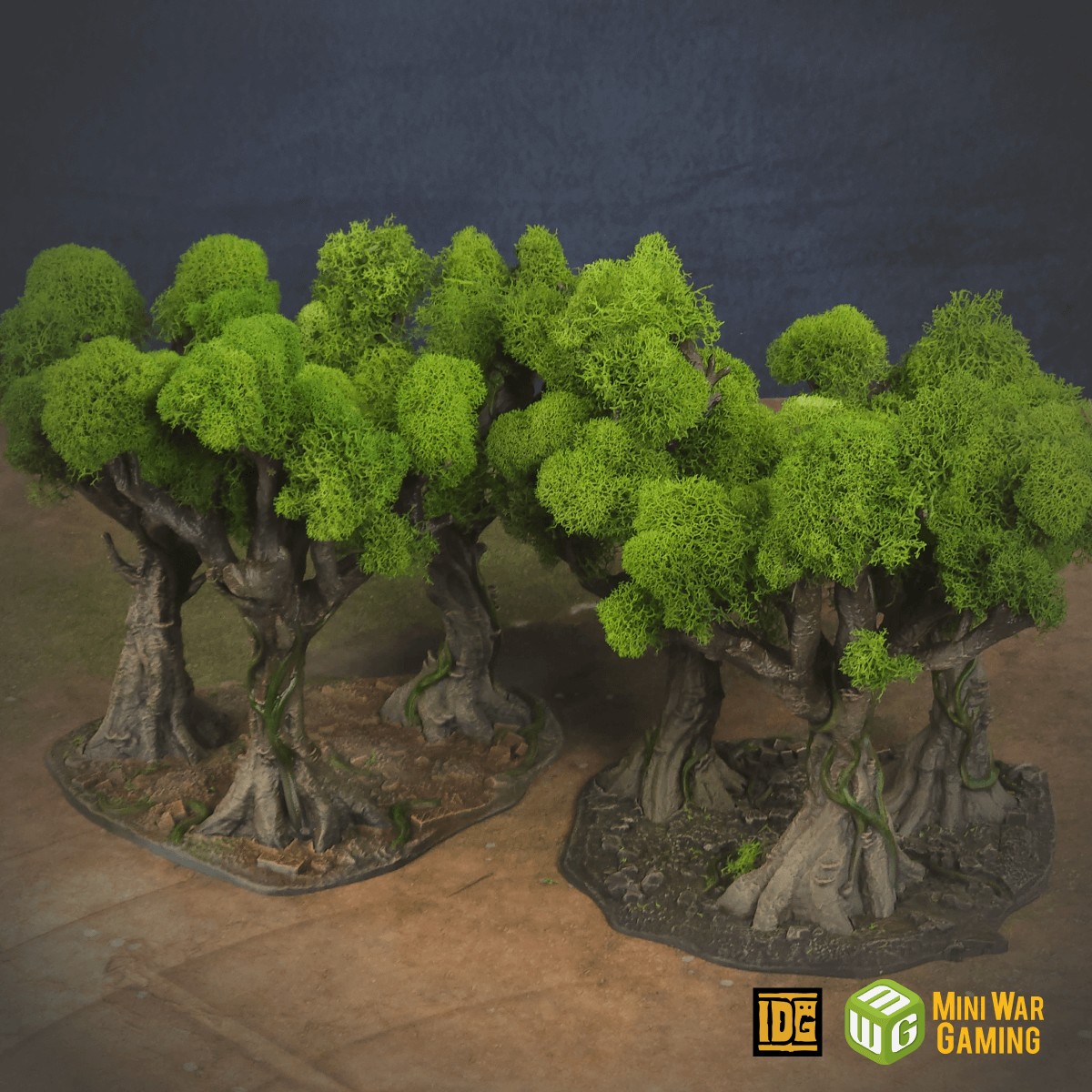 Set of Six Ancient Trees in Jungle Temple Ruins