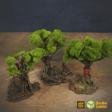 Set of Three Large Ancient Trees in Jungle Temple Ruins