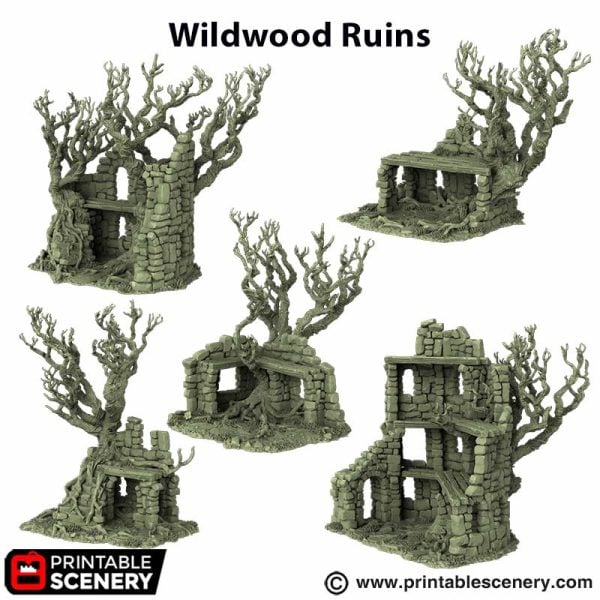 Wildwood Ruins