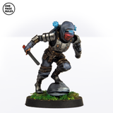 Dynasty Hybrid Ninjas