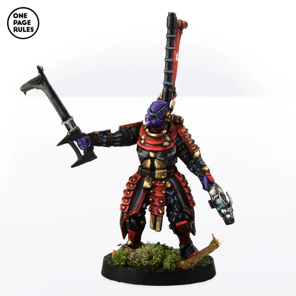 Dynasty Hook Sword Captain