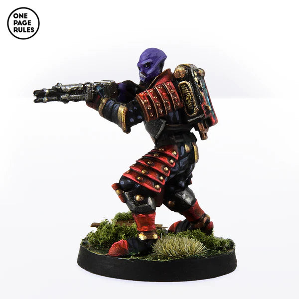 Dynasty Shotgun Warriors