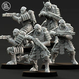 Dynasty Shotgun Warriors